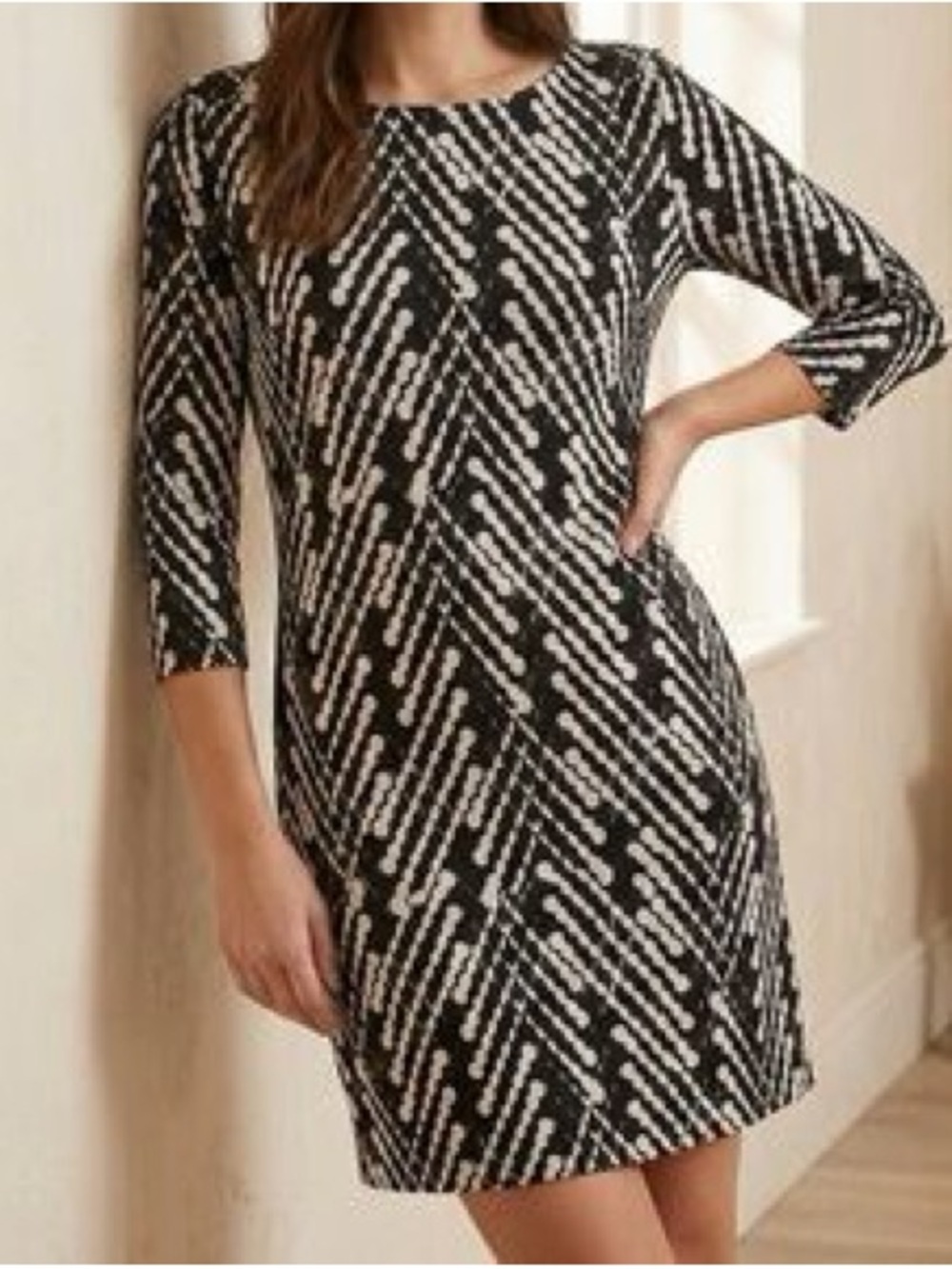 The Limited Black & White Printed Geometric Dress (XS)